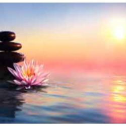 Should Mindfulness for Health Care Workers Go Virtual? A Mindfulness-Based Intervention Using Virtual Reality and Heart Rate Variability in the Emergency Department